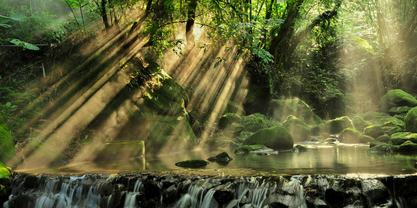 Wilderness Wilderness